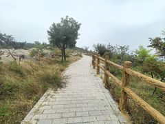 -白水寺森林公园