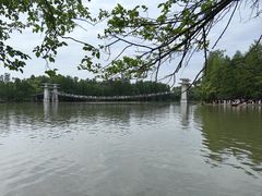 -东湖落雁景区
