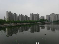 -新江湾城公园