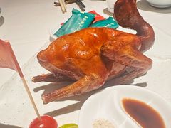 -侨美食家·40年地道粤菜(珠江新城店)
