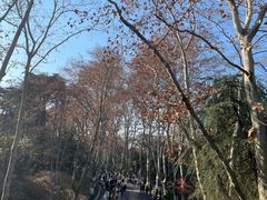 -百年尹氏汤包(湖南路狮子桥店)