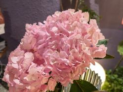 点击看大图 -花隐·美芙炫海菲秀皮肤管理中心