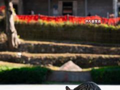 -广州市帽峰山景区