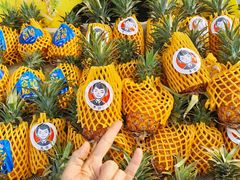 -水果天空(东葛店)