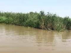 -长兴太湖图影湿地文化园