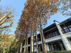 -杭州雅谷泉山庄酒店-餐厅