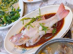 -富来美食(成发大厦店)