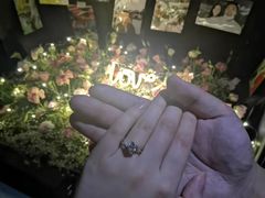 -沪花拾者(好再来花卉鲜花店)