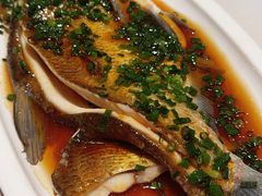 -刘胖子家常菜·蹄花焖藕(江汉路总店)