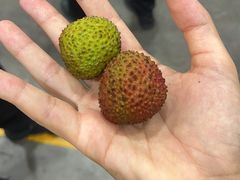 -山姆会员商店(杨桥西路店)
