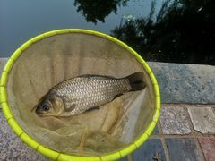 -酷鱼垂钓CLUB(朝阳区博大路店 )