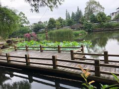 -黄龙溪古镇