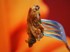 -伊思玛雅法式牛排自助餐厅(福清万达店)