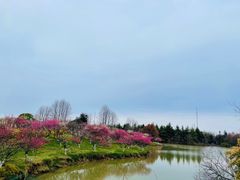 -上海海湾国家森林公园