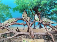 -广州长隆野生动物世界