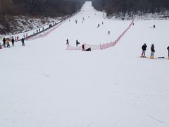 -五家山森林公园滑雪场