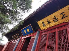 -洛阳白马寺