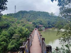 -广州白江湖森林公园