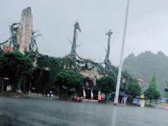 -贵州森林野生动物园