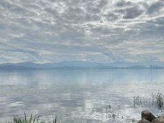 -洱海月湿地公园