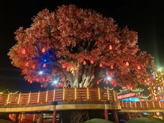 -中华郡文化旅游景区