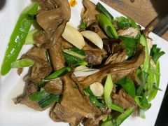 -老号尤兔头(幸福店)