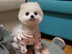 -百好乐宠物友好餐厅(朝外大街店)