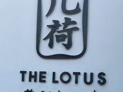 -几荷·恰似故人来(秀水广场店)