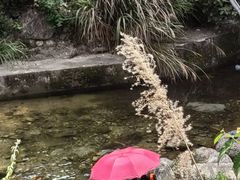 -麻城大别山桐枧冲瀑布群风景区