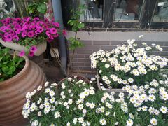 -过客(南锣鼓巷店)