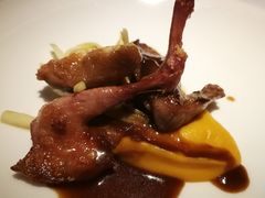 -蝶舍·MAISON PAPILLON