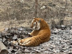 -济南野生动物世界