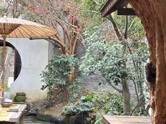 -古今茶语·峨眉山有机茶体验馆