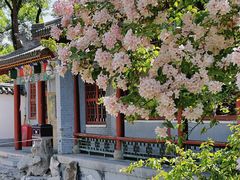 -碑林公园