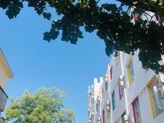 -首都医科大学附属北京天坛医院