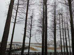 -太湖湖滨国家湿地公园-停车场