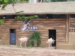 -广州动物园