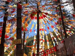 -硗碛藏寨·神木垒景区
