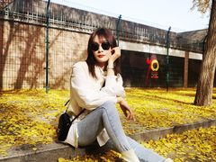 -三里屯东五街银杏大道