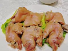 -丁老爷子苏香圆