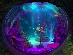 -沈阳海洋探索中心