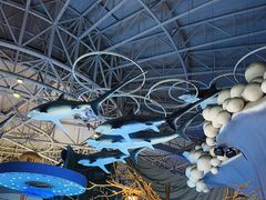 -烟台海昌鲸鲨海洋公园