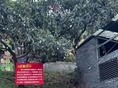 -桃源山庄·水蜜桃采摘·柴火鸡·烧烤团建(龙泉山店)