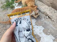 -太二酸菜鱼(石家庄万象城店)