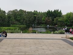 -海珠湖公园