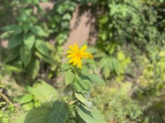 -北马山庄植趣咖啡