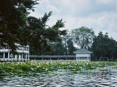-荔湾湖公园