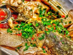 清蒸鲈鱼-眉州东坡(春秀路店)