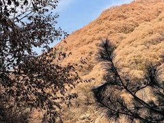 -少华山国家森林公园