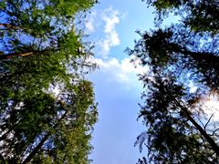 -昆山城市生态森林公园